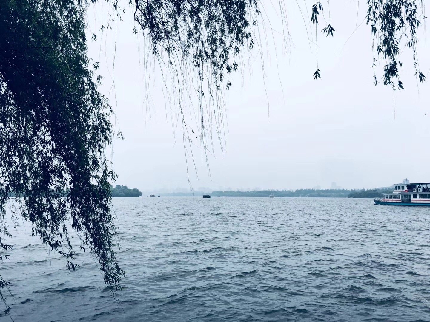 中国·yl8cc永利(股份)有限公司-官方网站