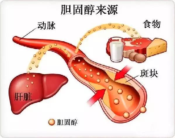 中国·yl8cc永利(股份)有限公司-官方网站
