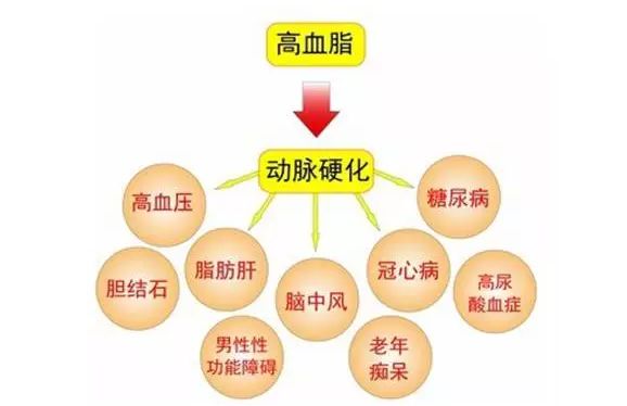 中国·yl8cc永利(股份)有限公司-官方网站