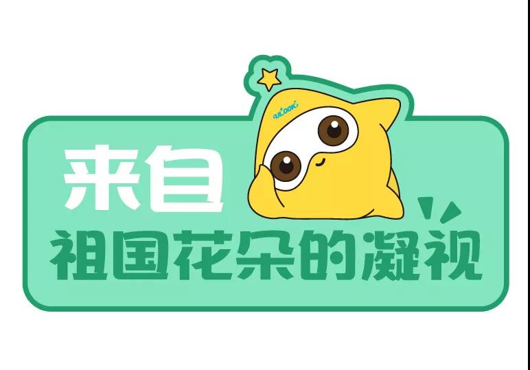 中国·yl8cc永利(股份)有限公司-官方网站